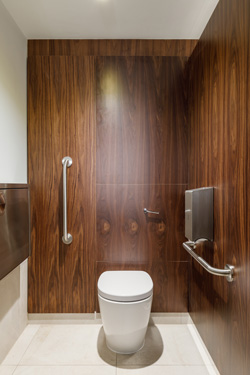 Dark wood wall contrast on brushed satin stainless steel grab rails, baby changing table, and toilet roll dispenser