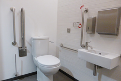 An accessible washroom with brushed satin stainless steel grab rails, taps, and dispensers